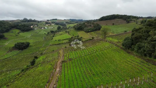 Fazenda/Sítio à venda, 40000m² no Vale dos Vinhedos, Bento Gonçalves
