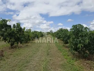 Lote/Terreno com 1 Quarto à venda, 125000m² no , Vertentes