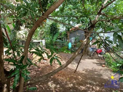 Casa com 2 Quartos à venda, 420m² no Chácara Cruzeiro do Sul, São Paulo