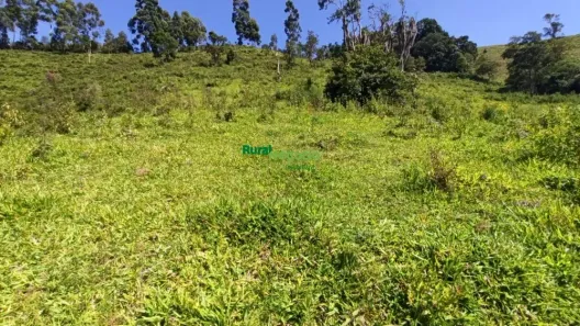 Fazenda/Sítio com 1 Quarto à venda, 96800m² no Centro, Cunha