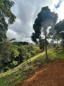 Lote/Terreno à venda, 6112m² no Centro, Angelina