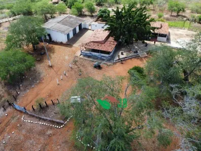 Fazenda/Sítio com 4 Quartos à venda, 180m² no , Boqueirão