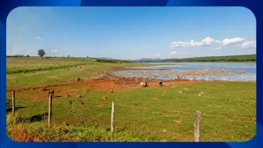 Fazenda/Sítio com 1 Quarto à venda, 351300m² no Área Rural de Tianguá, Tianguá