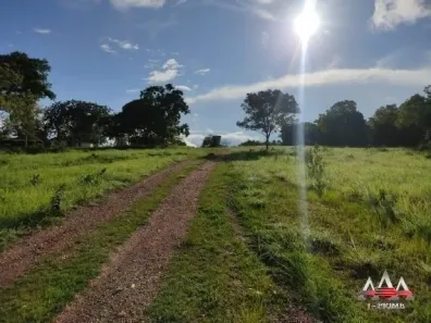 Fazenda/Sítio com 4 Quartos à venda, 1030m² no , Jangada