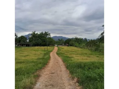 à venda, 10157m² no Ribeirão do Bugre, Luiz Alves