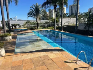 Apartamento com 3 Quartos para alugar, 60m² no Residencial Parque da Fazenda, Campinas