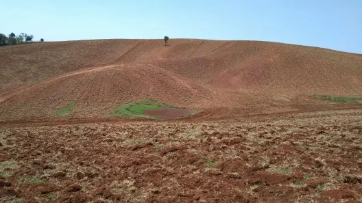 Fazenda/Sítio com 2 Quartos à venda, 70m² no , Ribeirão Branco