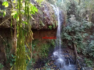 Fazenda/Sítio com 1 Quarto à venda, 339m² no Guaravera, Londrina