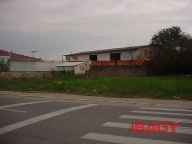 Lote/Terreno para alugar, 1000m² no Centro, Palhoça