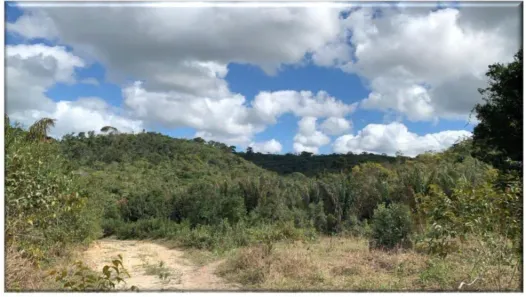 Lote/Terreno à venda, 500000m² no , Dias D'Ávila