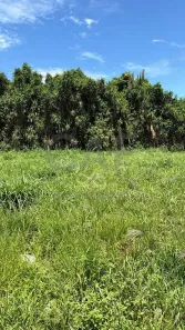 Lote/Terreno à venda, 10m² no Residencial Europa, Holambra