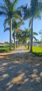 Fazenda/Sítio com 4 Quartos à venda, 240000m² no Pouso Alegre, Santa Isabel