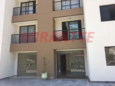 Apartamento com 3 Quartos à venda, 67m² no Vila Santos, São Paulo