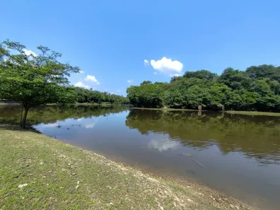 Fazenda/Sítio com 7 Quartos à venda, 390000m² no Área Rural de Manacapuru, Manacapuru