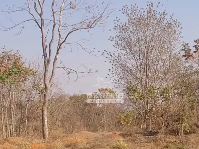 Fazenda/Sítio à venda, 13780000m² no , São Romão