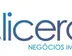 Miniatura da foto de Alicerce Negocios Imobiliarios Ltda-Me