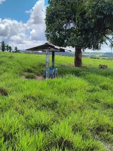 Fazenda/Sítio à venda, 270000m² no , São Sebastião do Passé