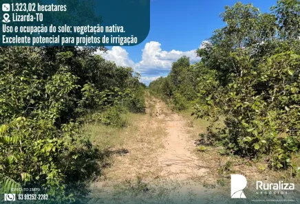 Fazenda/Sítio à venda, 1323m² no , Lizarda