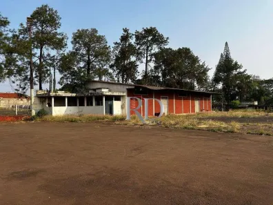 Galpão/Depósito/Armazém à venda, 11500m² no Jardim Rosicler, Londrina