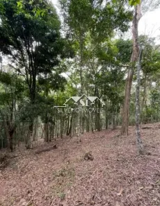 Lote/Terreno à venda, 2000m² no , Petrópolis