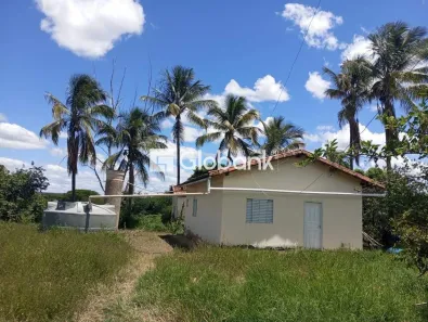 Fazenda/Sítio à venda, 1218m² no , Engenheiro Navarro