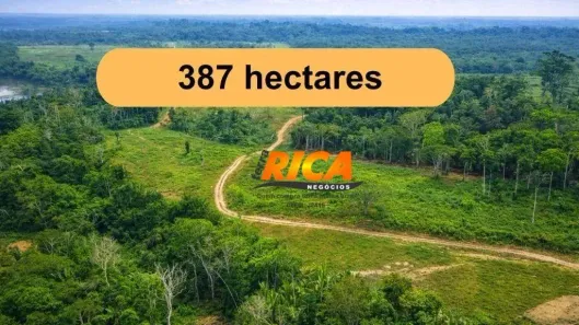 Fazenda/Sítio à venda, 3870000m² no Jaci Paraná, Porto Velho