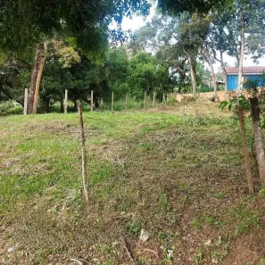 Lote/Terreno à venda, 357m² no São Dimas, Colombo
