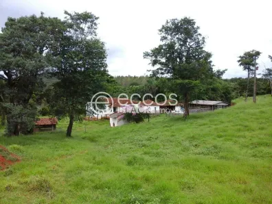 Fazenda/Sítio à venda, 35000m² no Área Rural de Uberlândia, Uberlândia