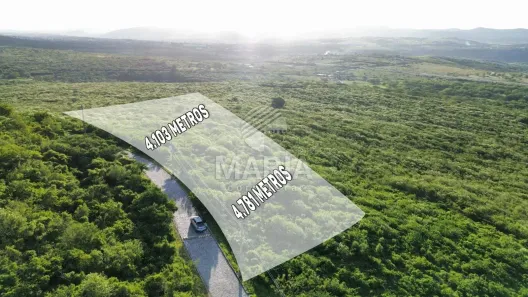 Lote/Terreno à venda, 4781m² no Centro, Bezerros