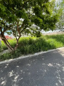 Lote/Terreno à venda, 286m² no Lagoa, Macaé