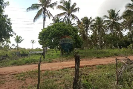 Fazenda/Sítio à venda, 14560m² no Ladeirinhas B, Japoatã
