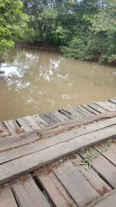 Fazenda/Sítio com 1 Quarto à venda, 7800000m² no , Chapadinha