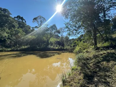 Fazenda/Sítio à venda, 29000m² no Campo novo, Campo Magro