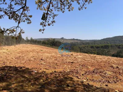 Fazenda/Sítio com 2 Quartos à venda, 200m² no , Espírito Santo do Pinhal