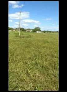 Fazenda/Sítio com 3 Quartos à venda, 1100000m² no , São Pedro