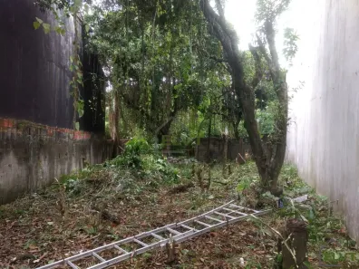 Lote/Terreno à venda, 257m² no Rolinópolis, São Paulo