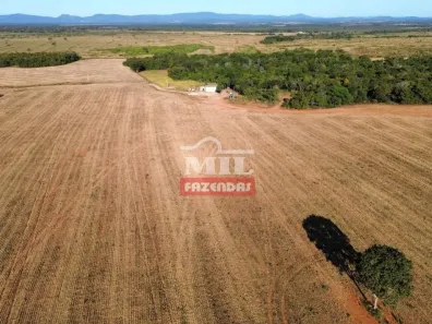 Fazenda/Sítio à venda, 500m² no , Talismã