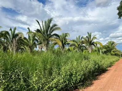 Fazenda/Sítio com 2 Quartos à venda, 79m² no , Nobres
