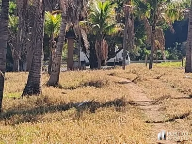 Fazenda/Sítio à venda, 150m² no Centro, Guaimbê