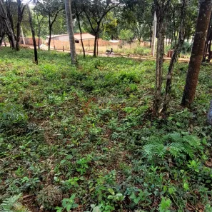 Lote/Terreno à venda, 600m² no , Itatiaiuçu