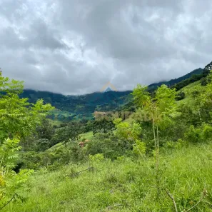 Lote/Terreno à venda, 20000m² no , São Bento do Sapucaí