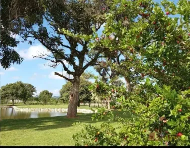 Lote/Terreno à venda, 300m² no Granjas Rurais Reunidas São Judas Tadeu, Taubaté