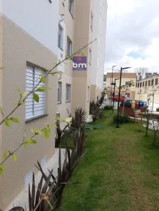 Apartamento com 2 Quartos para alugar, 42m² no Vila Plana, São Paulo