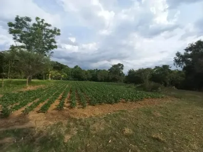 Lote/Terreno à venda, 30000m² no Passo do Vigário, Viamão