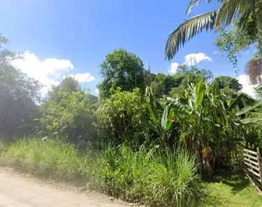 Fazenda/Sítio à venda, 67760000m² no Potinga, Guaraqueçaba