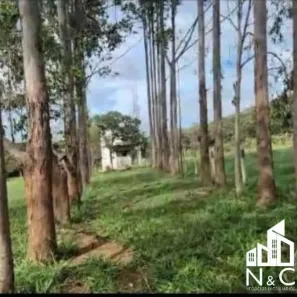 Fazenda/Sítio com 2 Quartos à venda, 240000m² no Setor Central, São Miguel do Passa Quatro