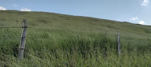 Fazenda/Sítio com 1 Quarto à venda, 100m² no , Natividade da Serra