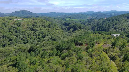 Lote/Terreno à venda, 20259m² no Centro, Campo Magro