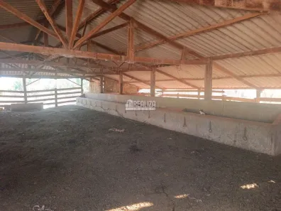 Fazenda/Sítio com 3 Quartos à venda, 12000m² no , Igarapava