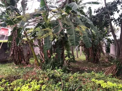 Lote/Terreno à venda, 467m² no Vargem Grande, Rio de Janeiro